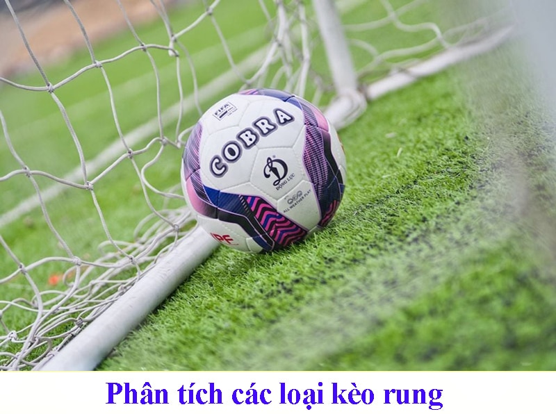 hướng dẫn đọc và phân tích các loại kèo rung