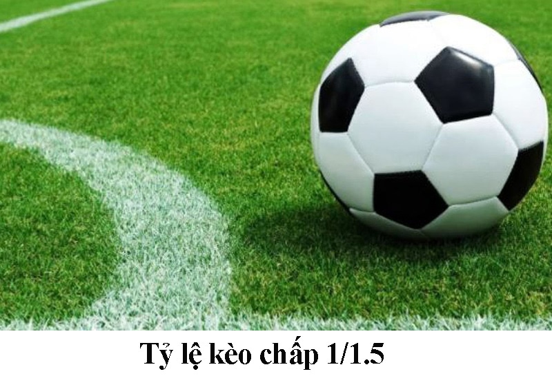 Tỷ lệ kèo chấp 1/1.5