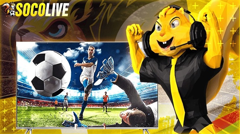 Trực tiếp bóng đá Socolive miễn phí hay mất phí?